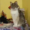 Отзыв от Ева Кузьмина